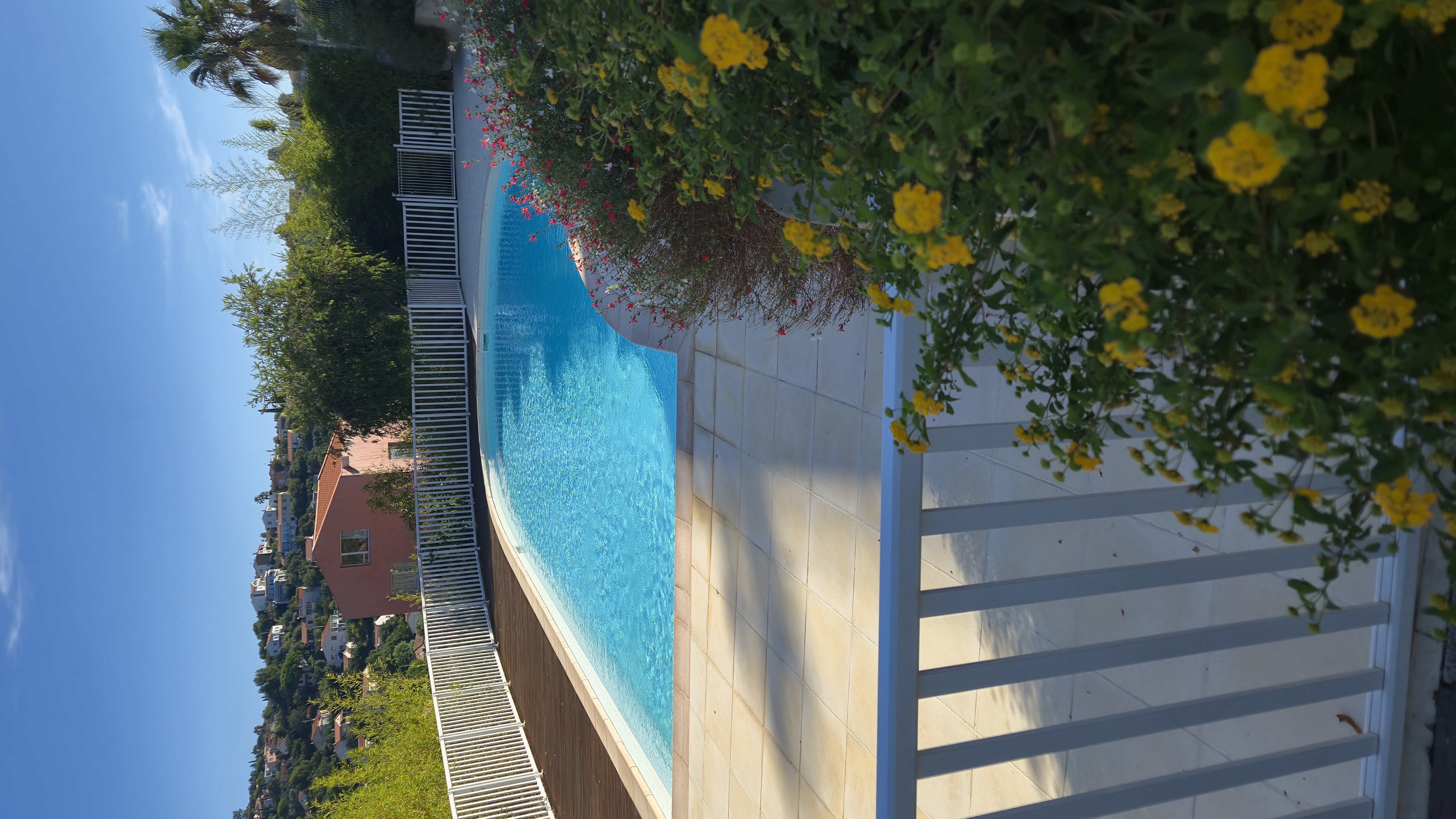 Produits de traitement piscine professionnels