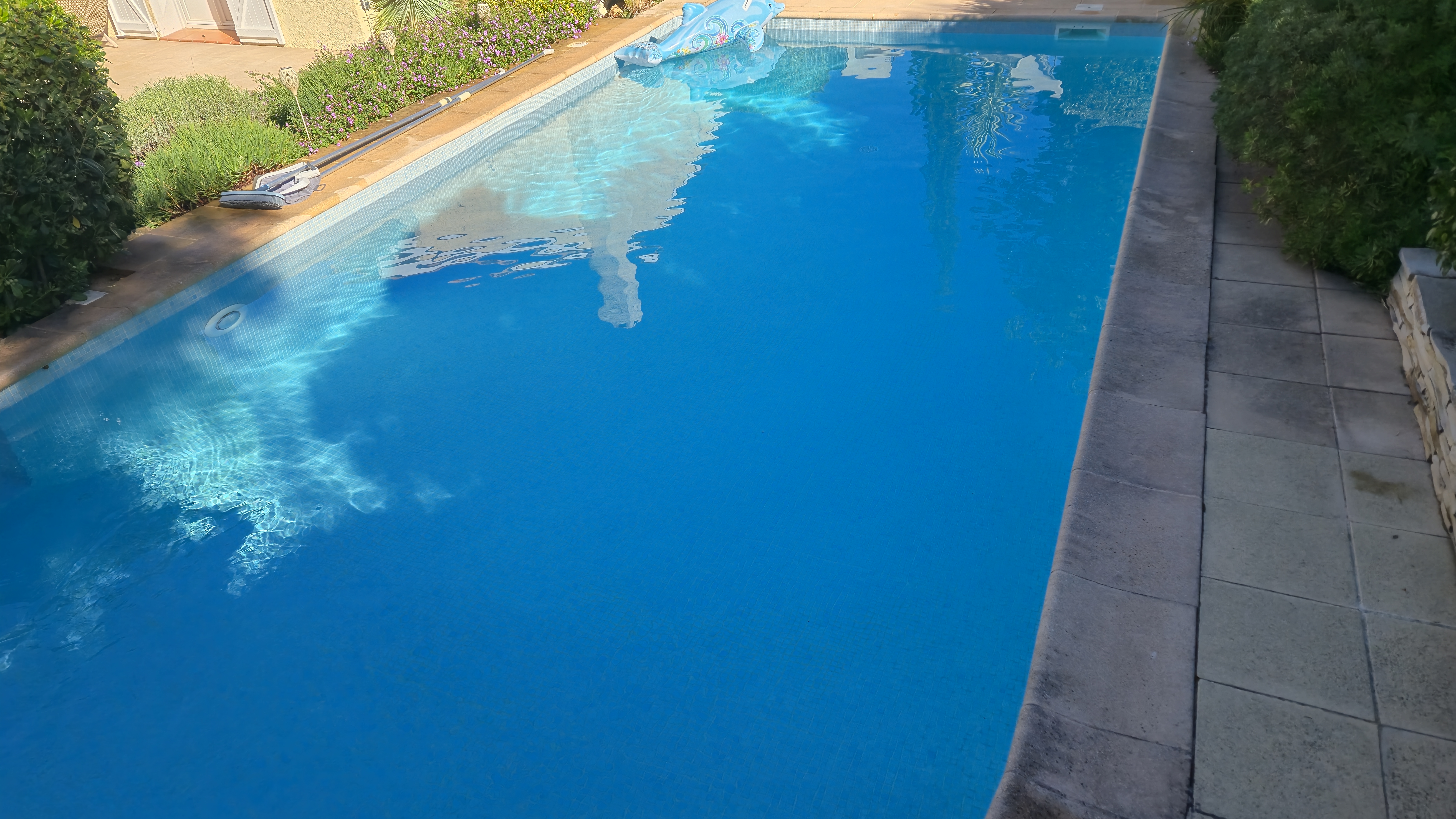 Équipement professionnel d'entretien piscine